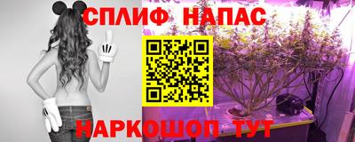 мяу мяу мука Усть-Джегута