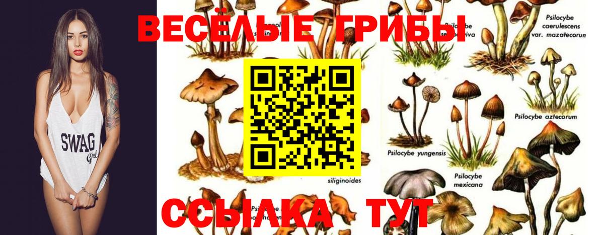 Белгород  купить наркотики цена  Псилоцибиновые грибы мицелий  Вход с VPN  Псилоцибиновые грибы мухоморы 